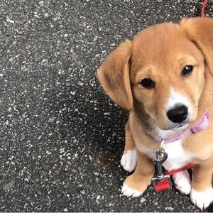 Meet your Posher, Rick